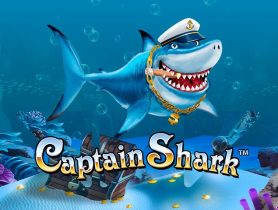 Captain Shark gra